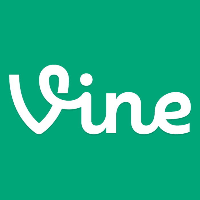 App To Download Vine