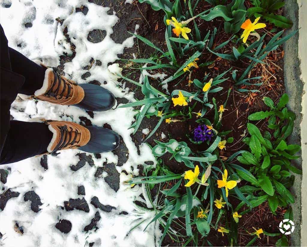 Snow boots in Spring Flowers