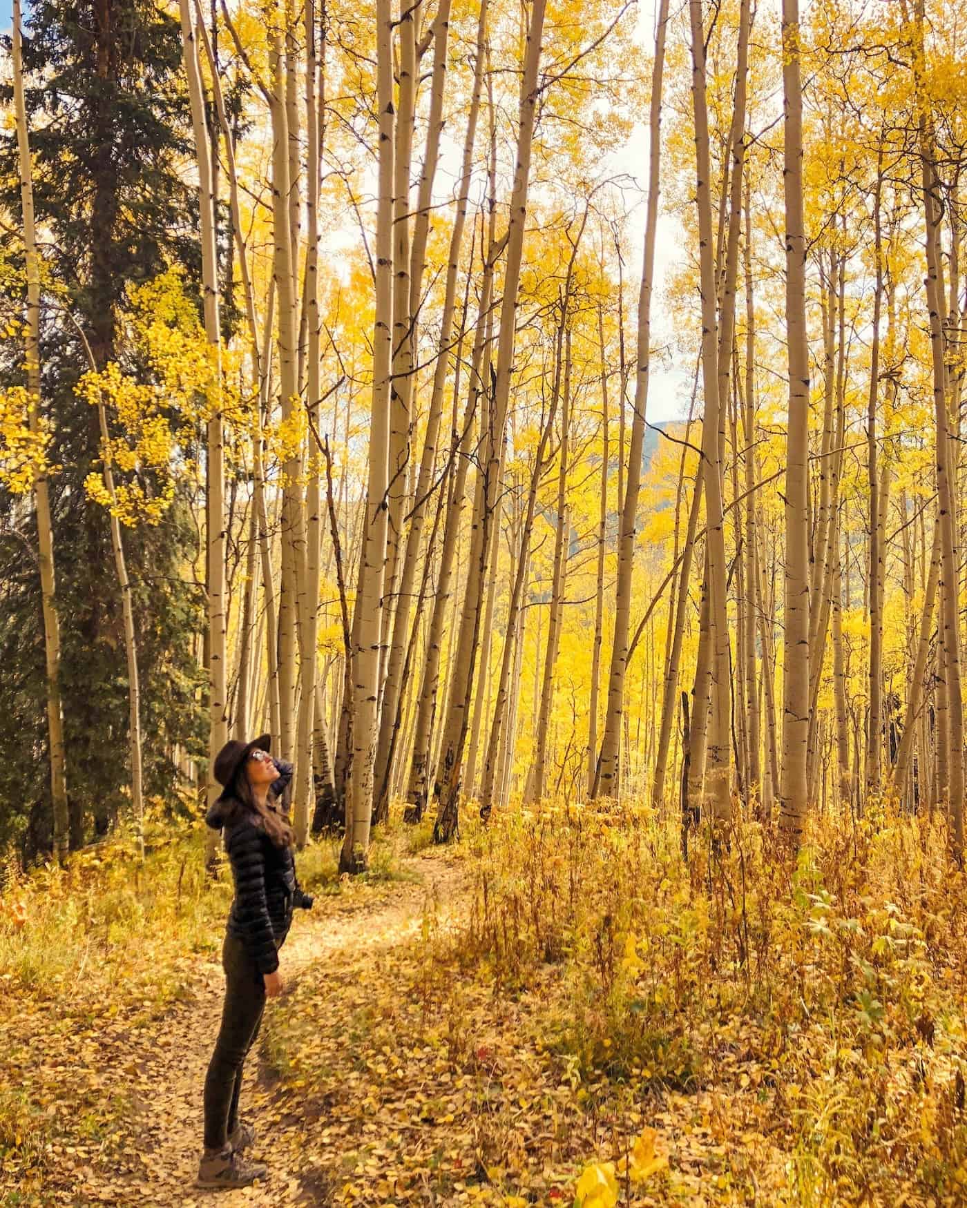 Standing in an Aspen Grove outside Crested Butte