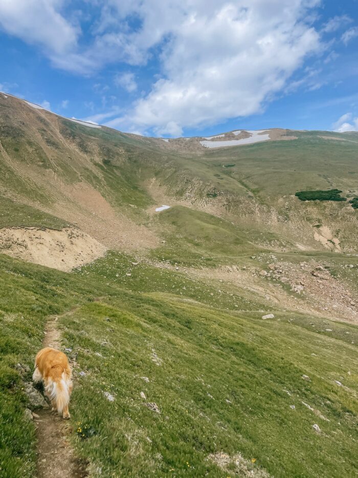 The Best Hike Near Denver Butler Gulch Blue Mountain Belle