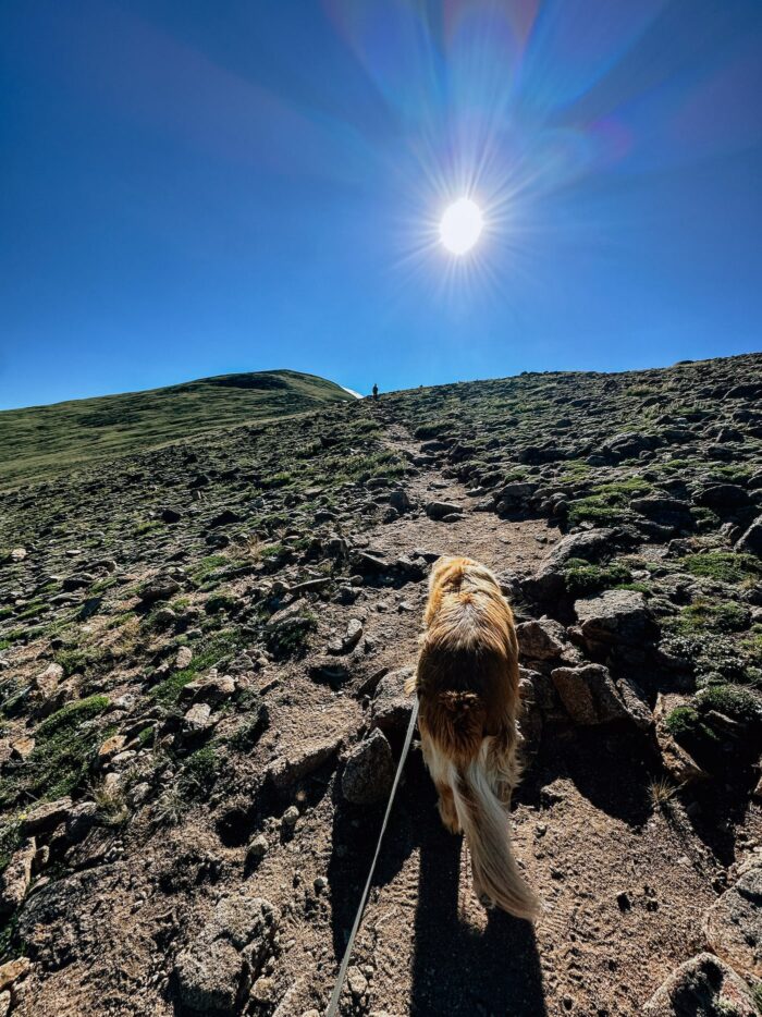 Mount Flora Trail, Colorado